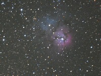 Triffidnebel