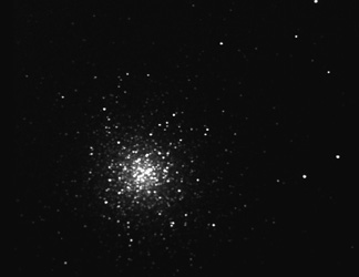 M13