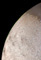 Triton